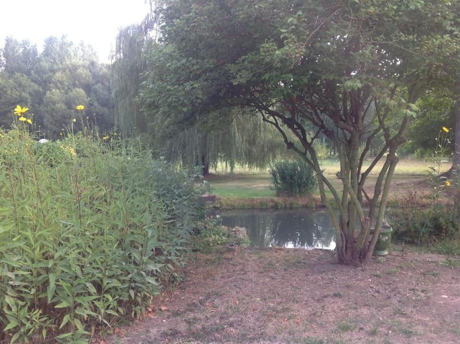 Le Foulon - Moulin De Charme - 1 Heure 30 De Paris Vila Saint-Hilaire-les-Andresis Exterior foto